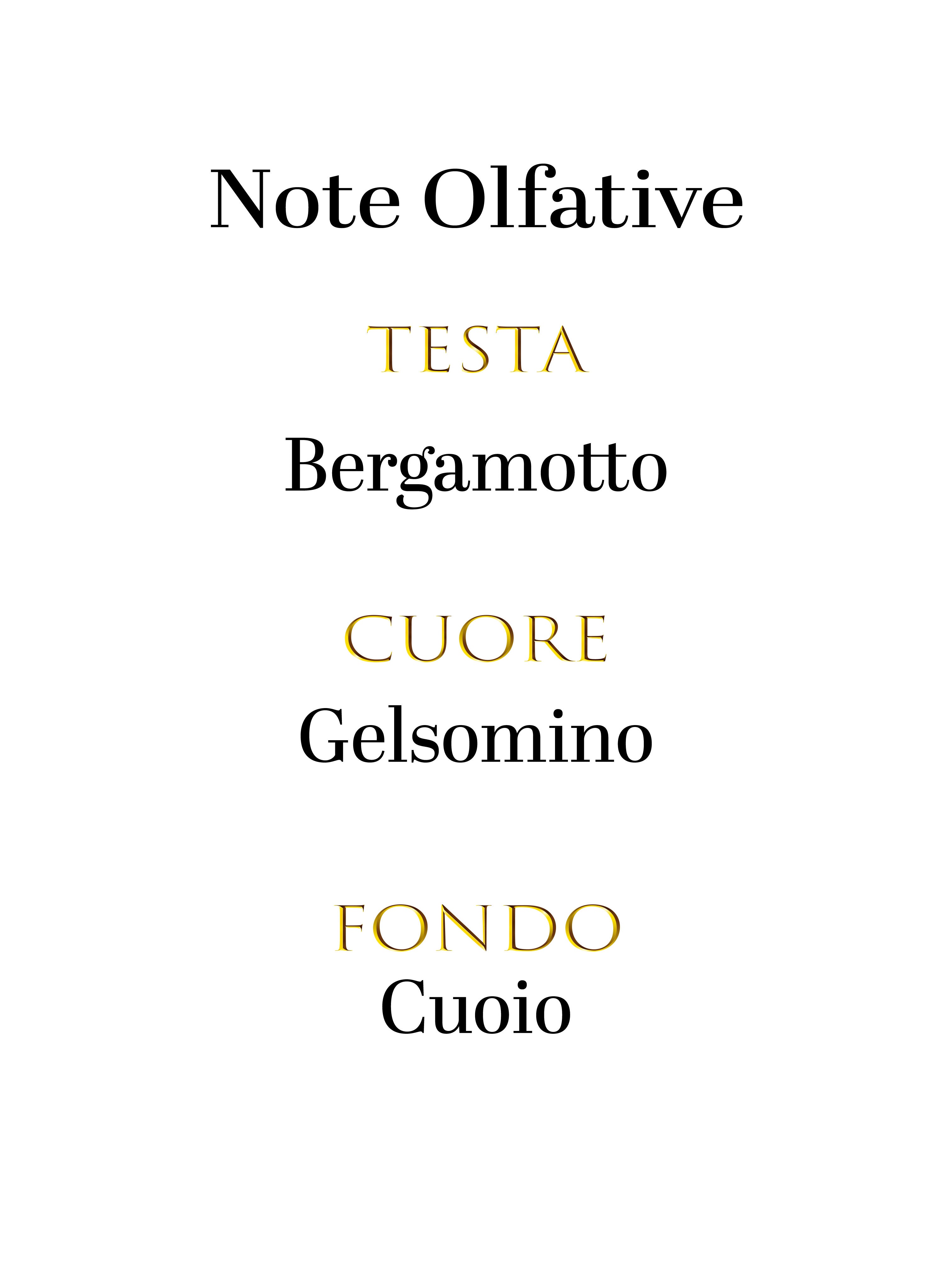 Bottega Veneta Bottega Veneta