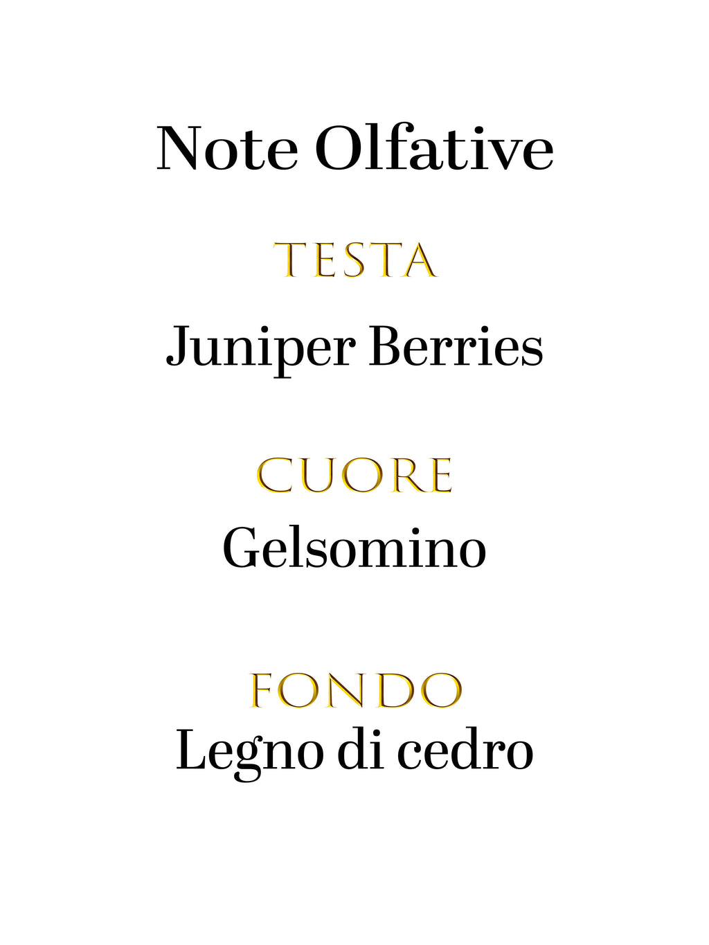 Dolce & Gabbana K