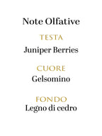 Dolce & Gabbana K
