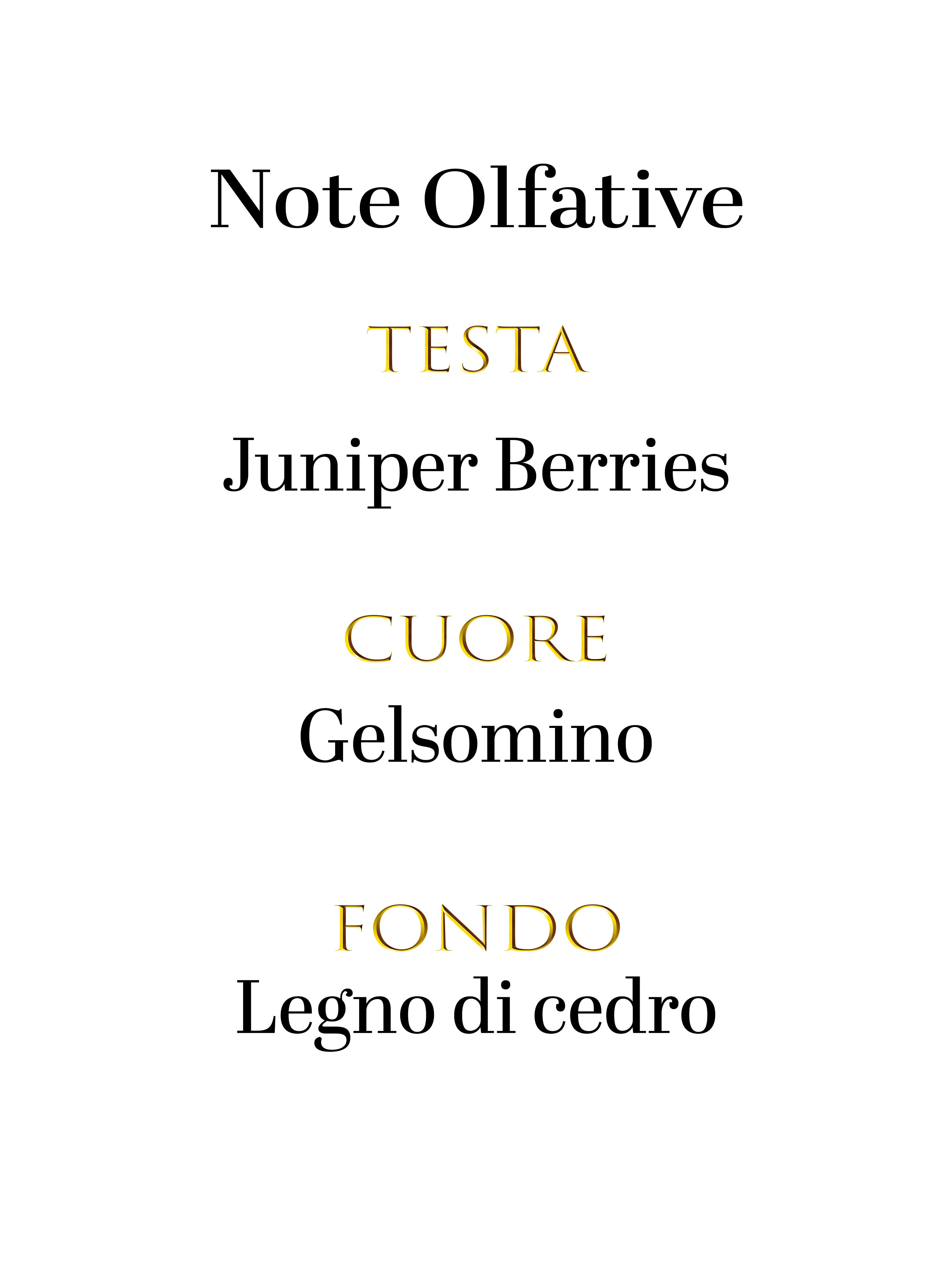 Dolce & Gabbana K