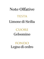 Dolce & Gabbana Blue